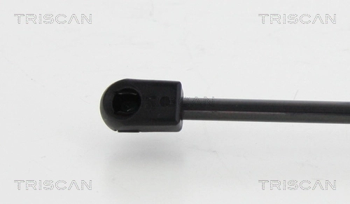 Comprar GS1120 Magneti Marelli Amortiguador de puerta trasera