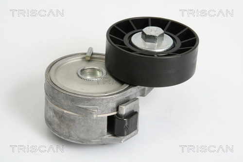 Comprar Tensor de correa poli V Citroen Jumper  244