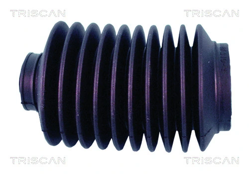 850029054 Triscan