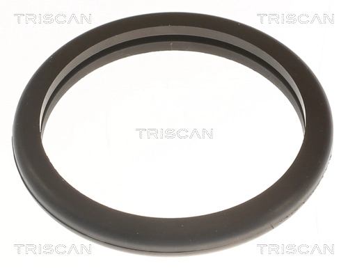 Termostato Renault Koleos SUV (HY0) (2008 - 2026) precio, desde 13,60 EUR