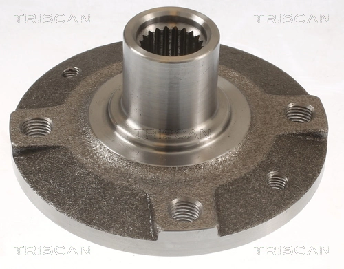 Cubo delantero para Renault Twingo I C06
