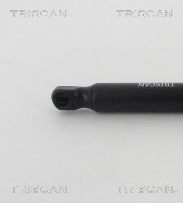 Amortiguador maletero 904507914R Renault (RVI)