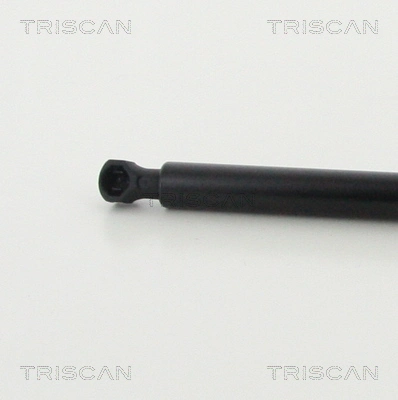 Muelle neumático, tapa delantera Triscan 871025112 precio, desde 17,44 EUR