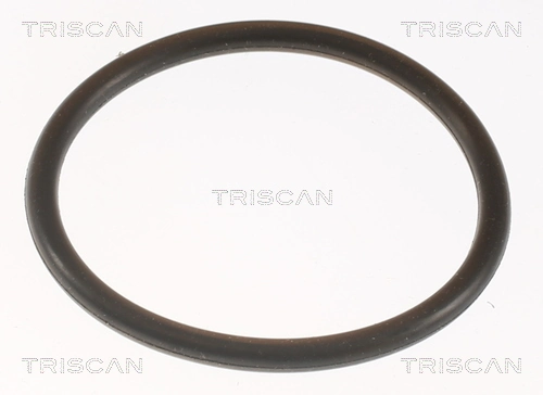 Termostato refrigerante Fiat Ducato I