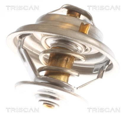  Termostato MAN TGX 1