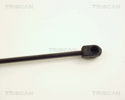 Muelle neumático, tapa delantera Triscan 871024104 precio, desde 15,13 EUR