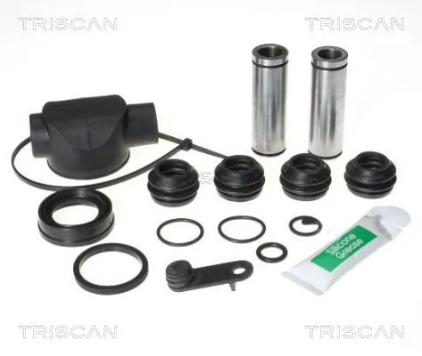 8170203005 Triscan