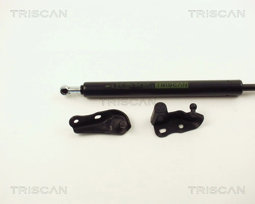 Amortiguador de porton para Toyota Avensis Verso LCM
