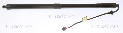 871011313 Triscan