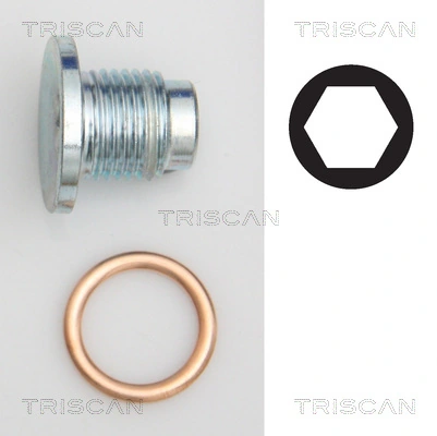 95001019 Triscan