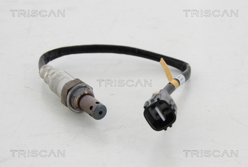 884513558 Triscan