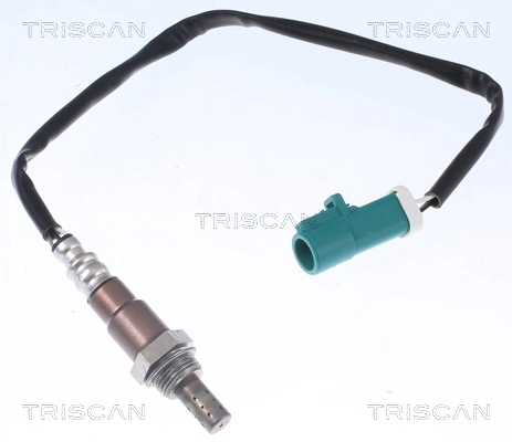 884516034 Triscan