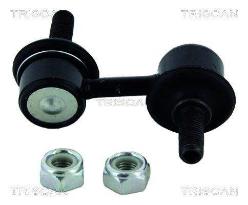 850040613 Triscan