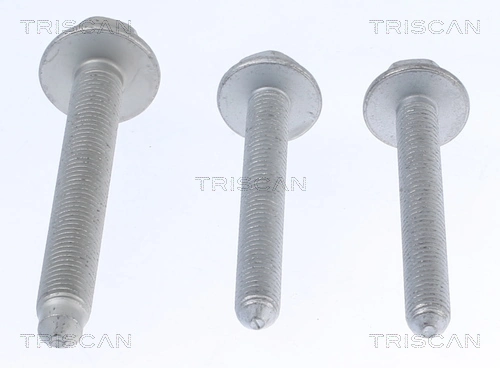 850029401 Triscan