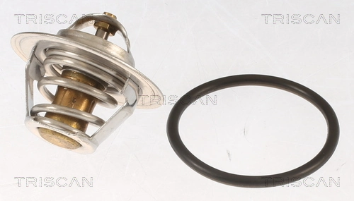 Comprar L050121113C FAW Termostato