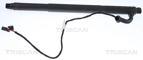 871011301 Triscan