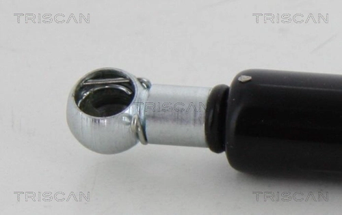 871010217 Triscan
