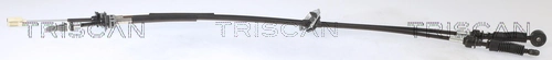 814018705 Triscan
