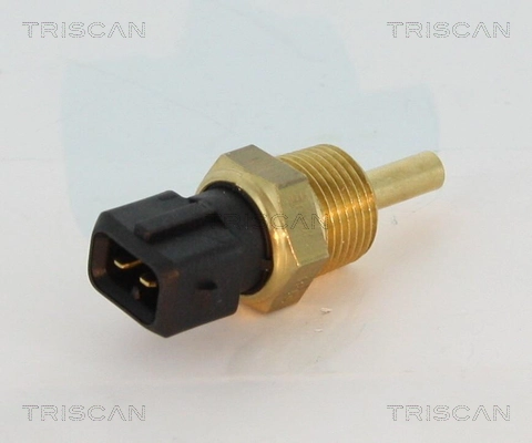 862610017 Triscan