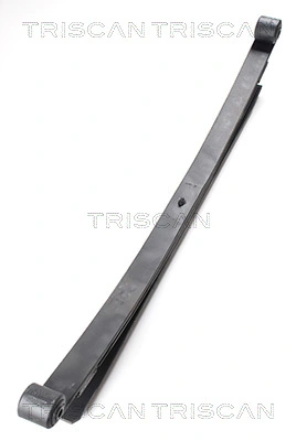 876523021 Triscan