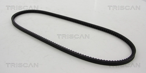 8640131150 Triscan