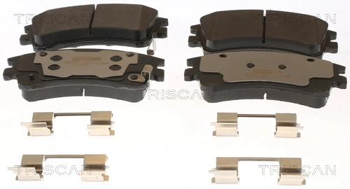 811050013 Triscan