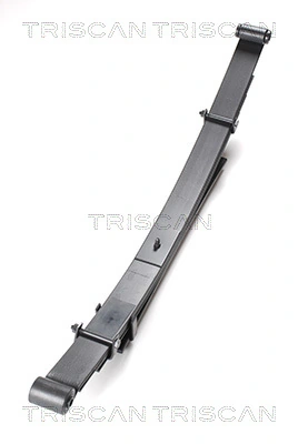 876542009 Triscan
