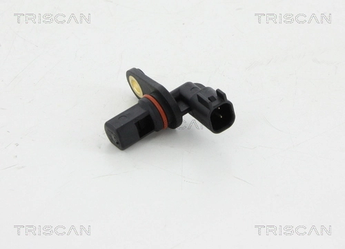 818080502 Triscan