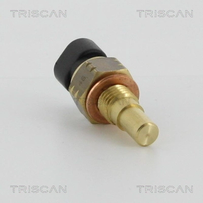 862610010 Triscan