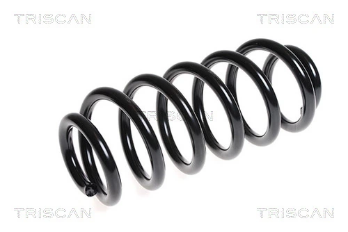 875029225 Triscan