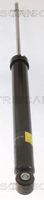 870516206 Triscan Amortiguadores posteriores