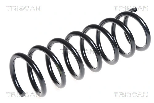 875016095 Triscan