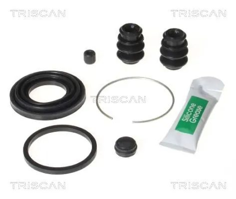 8170203837 Triscan