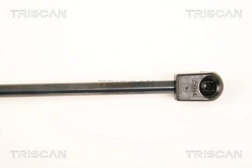 Amortiguador de maletero Hyundai I20 I hatchback (PB) (2008 - 2012) precio, desde 12,63 EUR