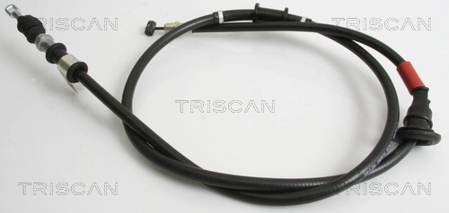 814042145 Triscan