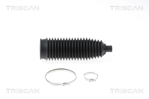 850010051 Triscan