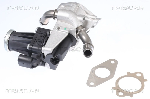 1D0020300B Mazda Válvula EGR