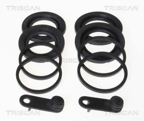 8170204218 Triscan