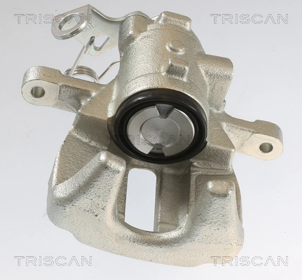 817510223 Triscan