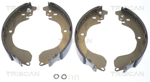 810080017 Triscan