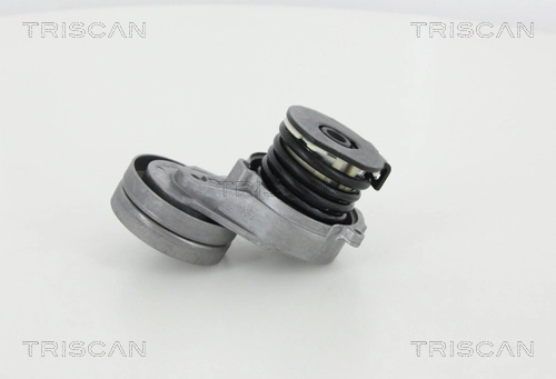 8641243011 Triscan
