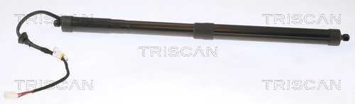 871013302 Triscan