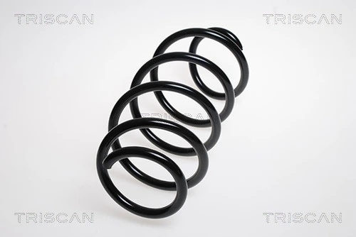875029197 Triscan