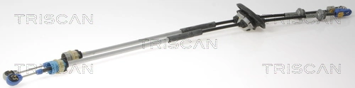 814038709 Triscan