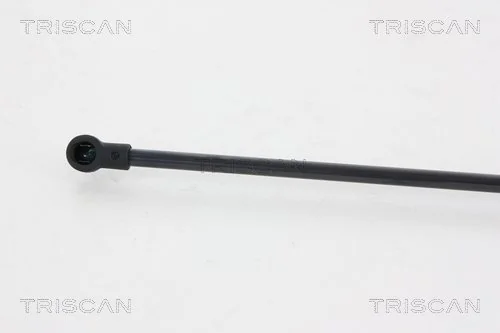 Comprar Amortiguador maletero Renault Scenic III JZ0, JZ1