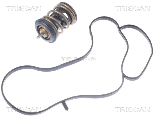 Termostato refrigerante Seat Leon IV