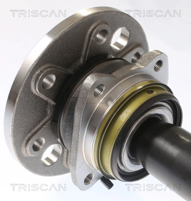  Cubo de rueda trasero Volkswagen Crafter 