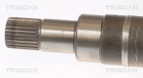 TDS0298 Magneti Marelli Semieje delantero derecho