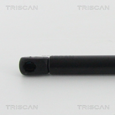 Muelle neumático, tapa delantera Triscan 871024108 precio, desde 16,14 EUR