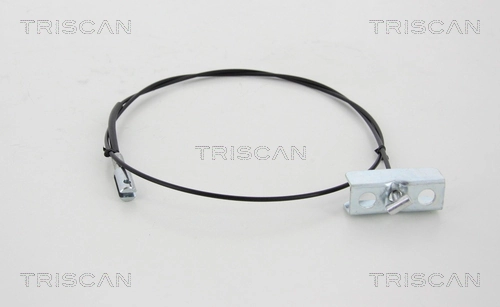 814010189 Triscan